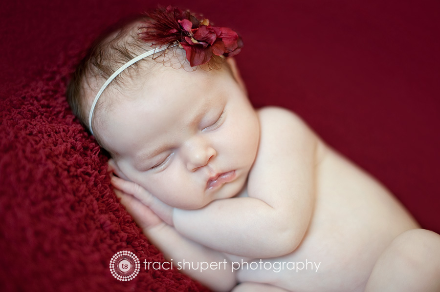 Mishawaka South Bend Goshen Elkhart Newborn Photographer Photography