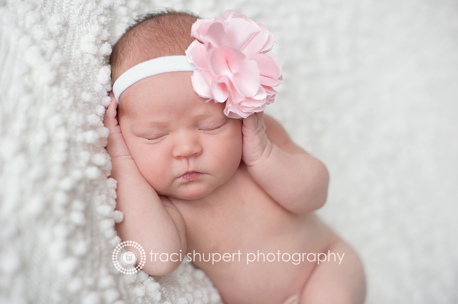 Elkhart Goshen South Bend Mishawaka Granger Michiana Newborn Photography Photographer Photos Pictures